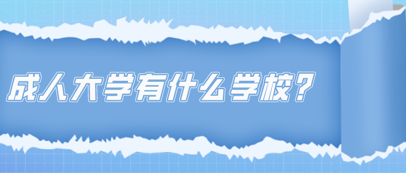 成人大学有什么学校？